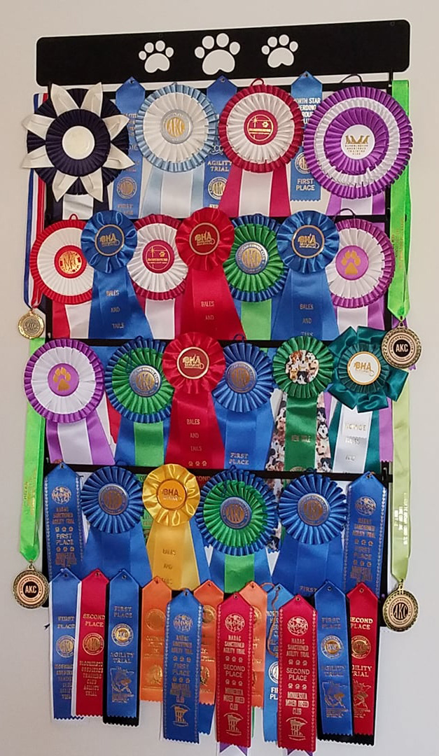 Ribbon holder plaque with 1 extra set of rods